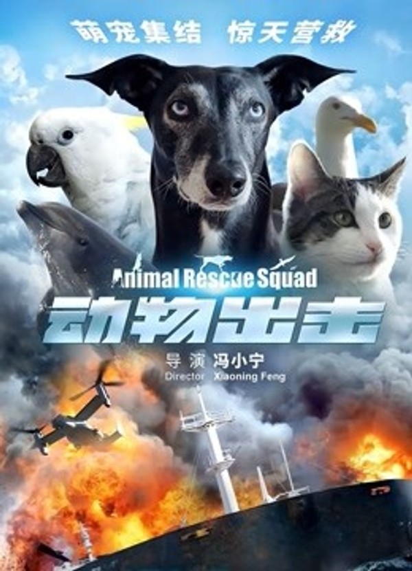 动物出击}