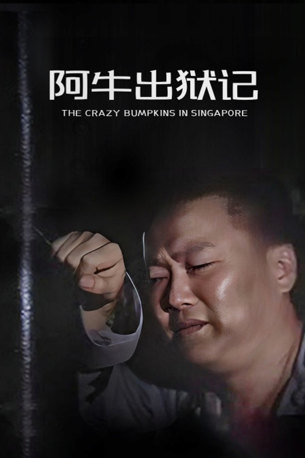 阿牛出狱记}
