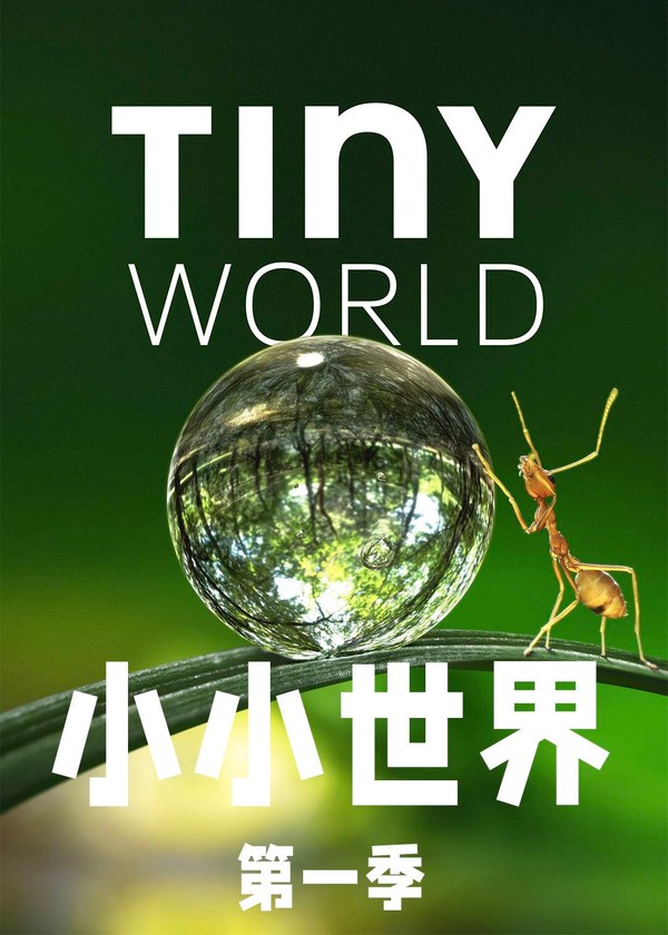 小小世界第一季}