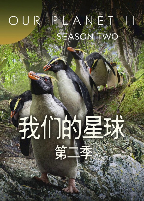 我们的星球第二季}
