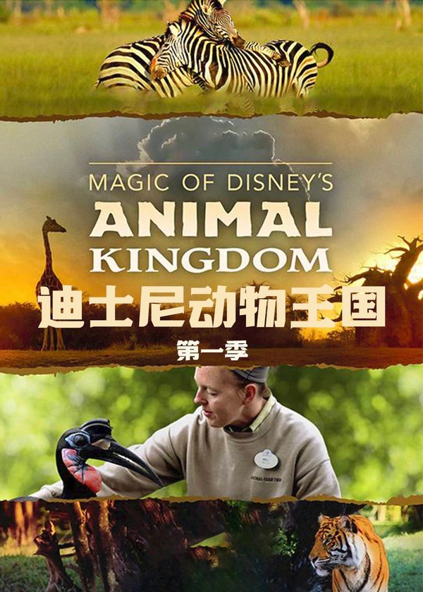 迪士尼动物王国第一季}