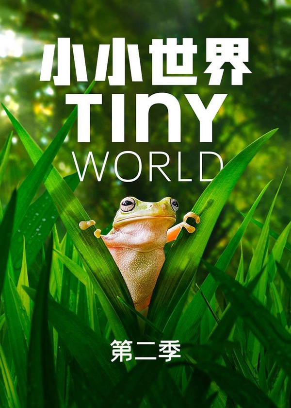 小小世界第二季}