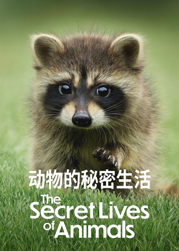 动物的秘密生活}