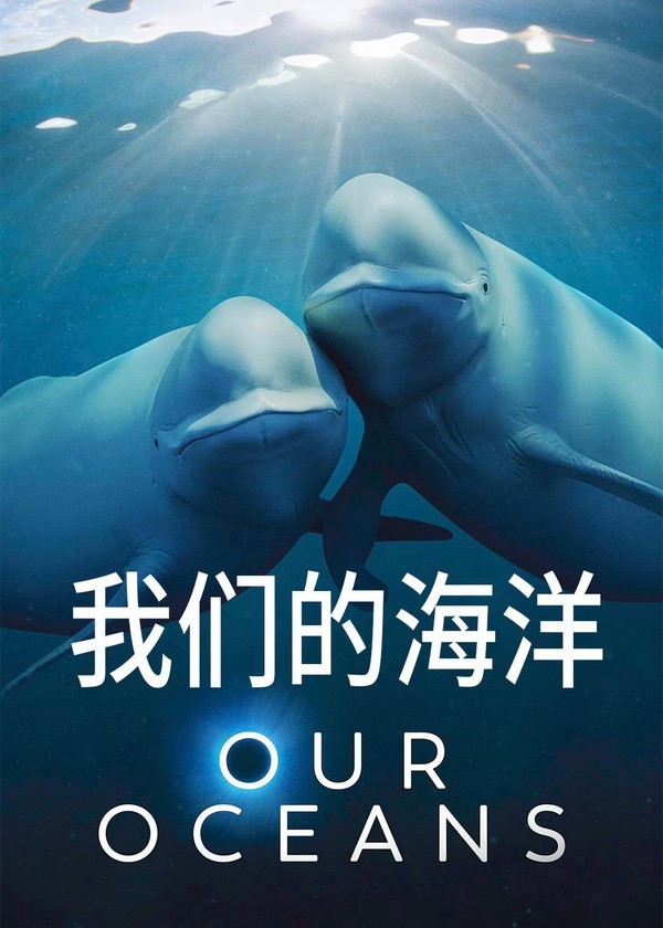 我们的海洋}