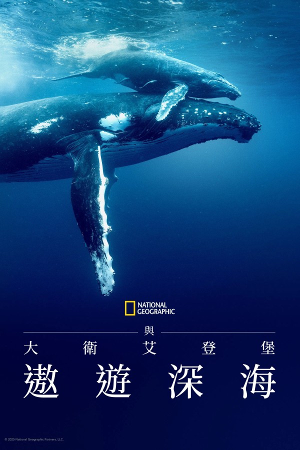 大卫·爱登堡：海洋}