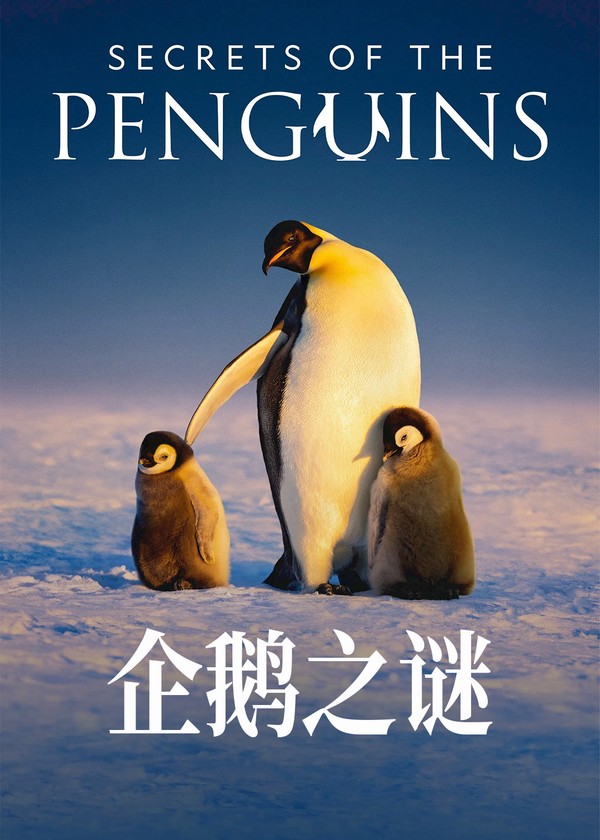 企鹅之谜}