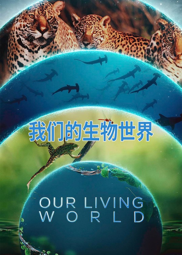 我们的生物世界}