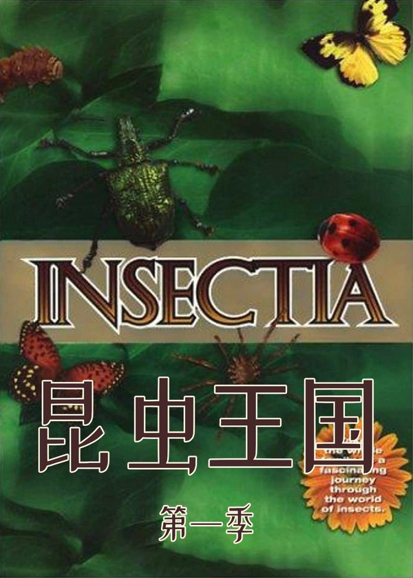 昆虫王国第一季}