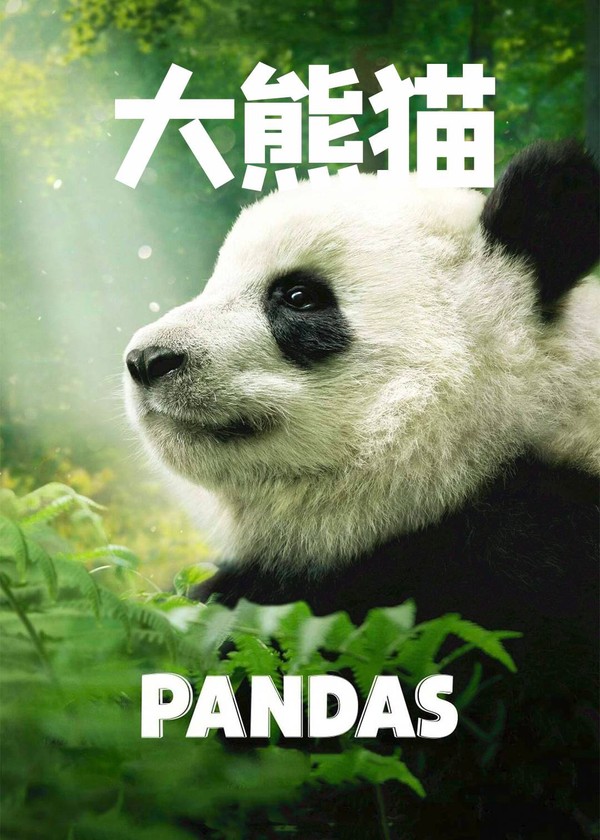 大熊猫}