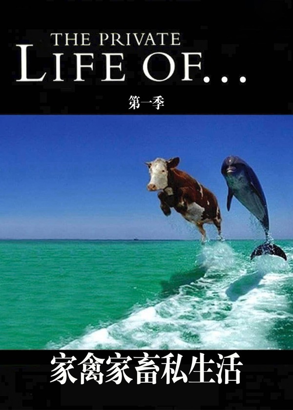 家禽家畜私生活第一季}