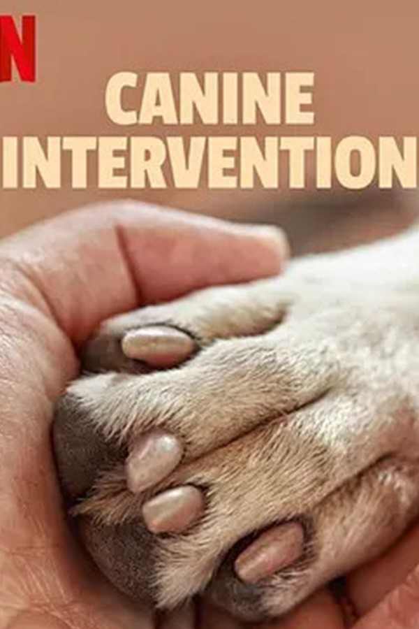 犬类干预}