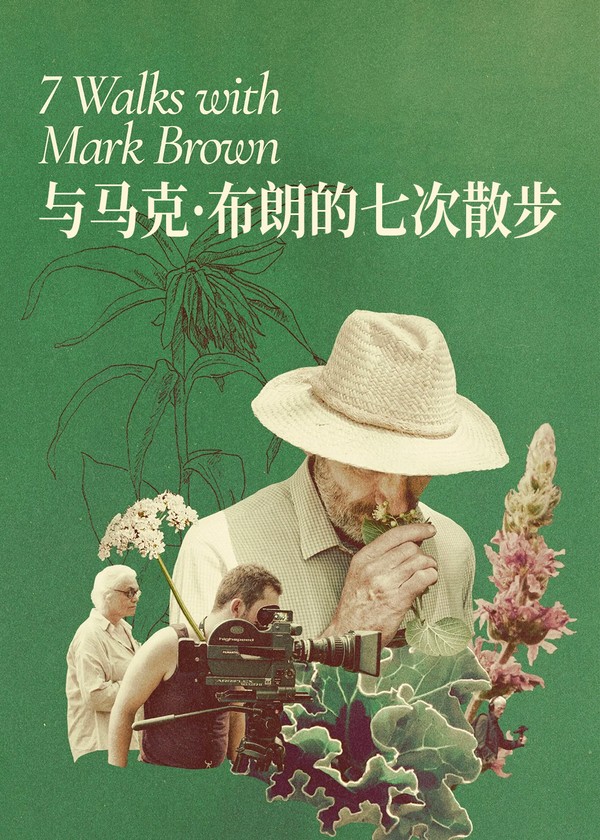 与马克·布朗的七次散步}