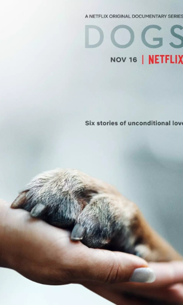 爱犬情深第一季}