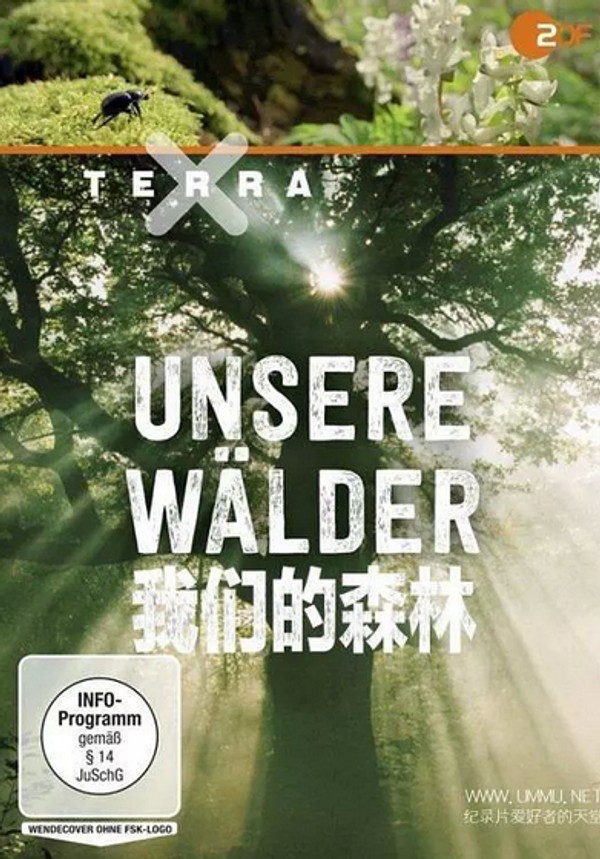我们的森林}