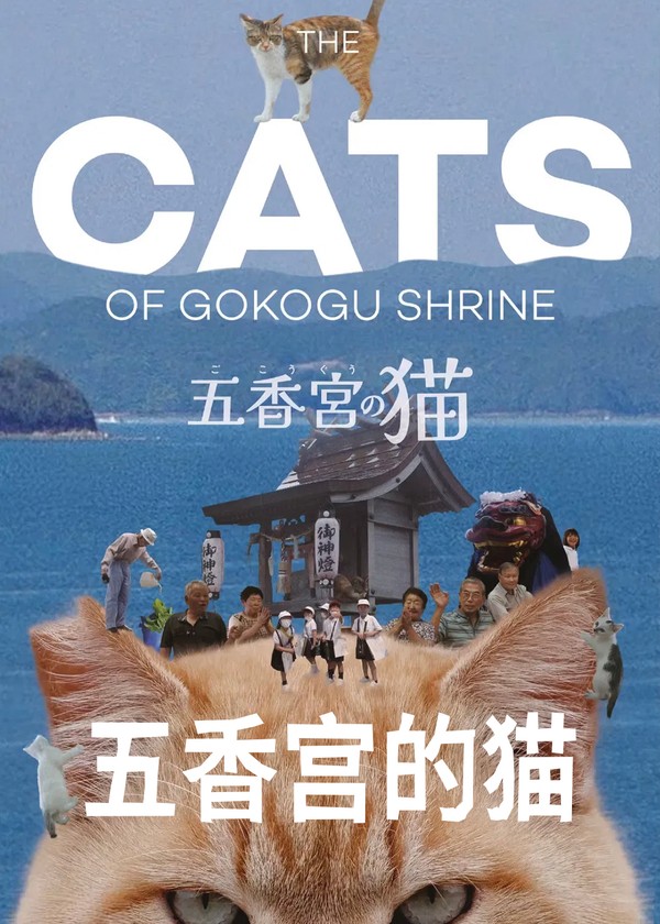 五香宫的猫}