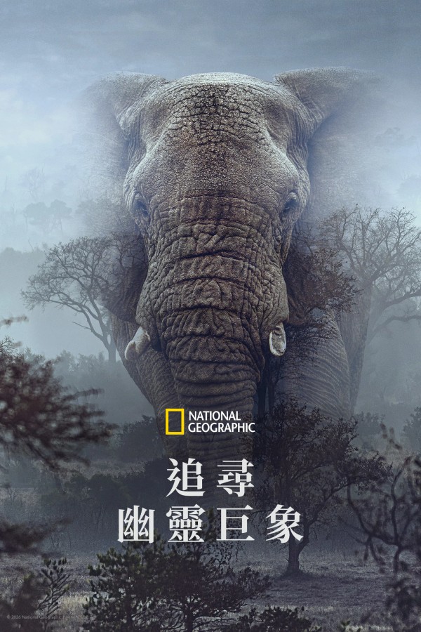 追寻幽灵大象}