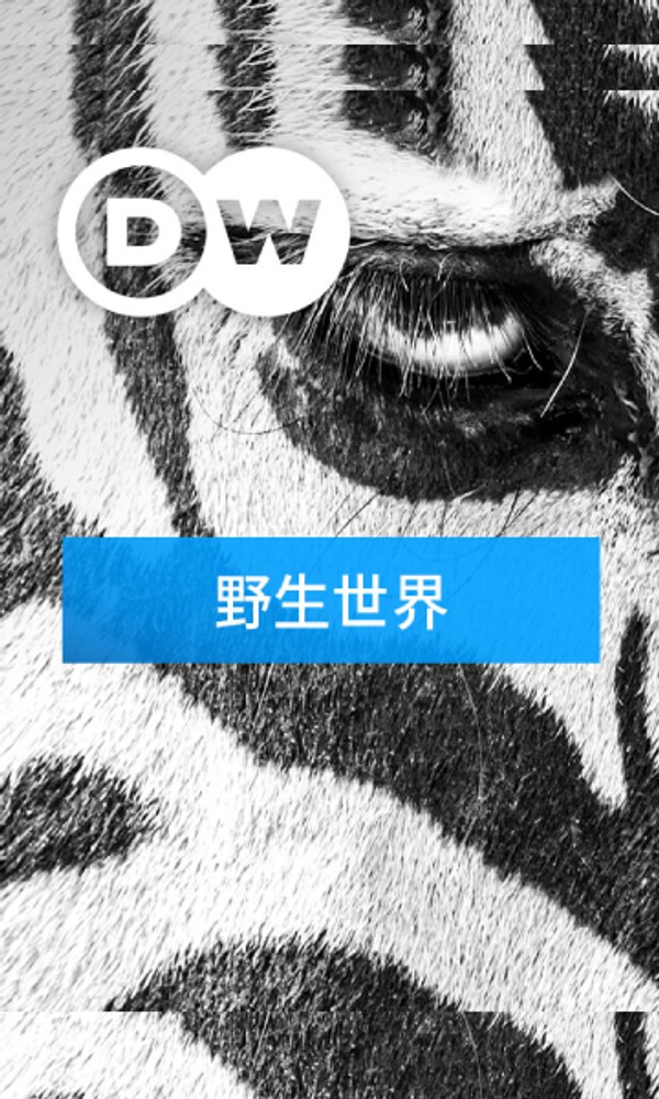 走向野外}