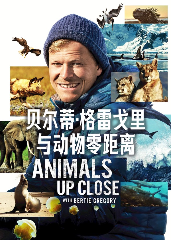 贝尔蒂·格雷戈里：与动物零距离}