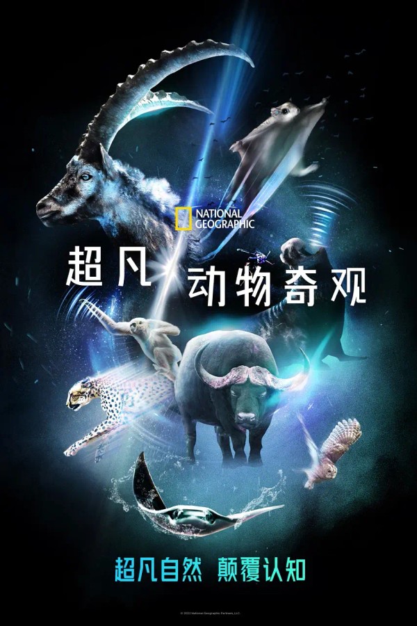 超凡动物奇观}