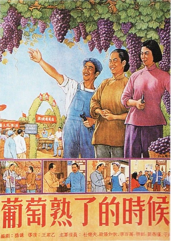 葡萄熟了的时候}