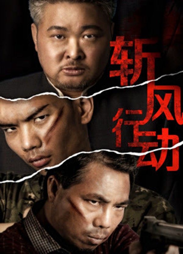 斩风行动}