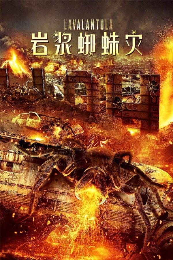 岩浆蜘蛛灾}