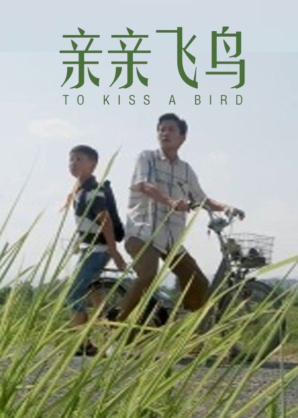 亲亲飞鸟}