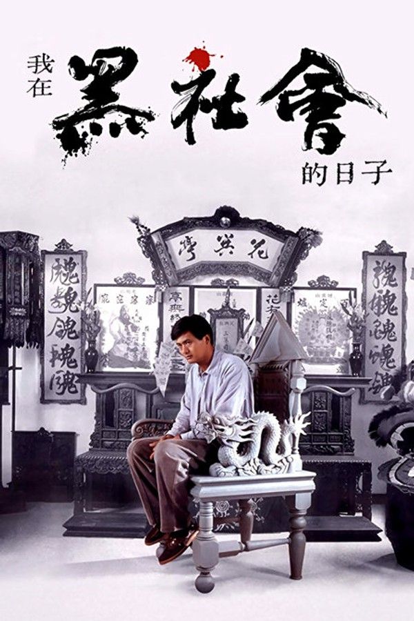 我在黑社会的日子}