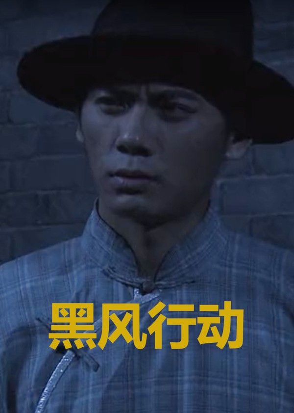 黑风行动}