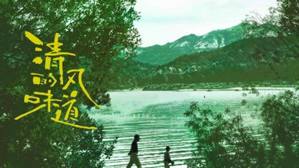 清风的味道}