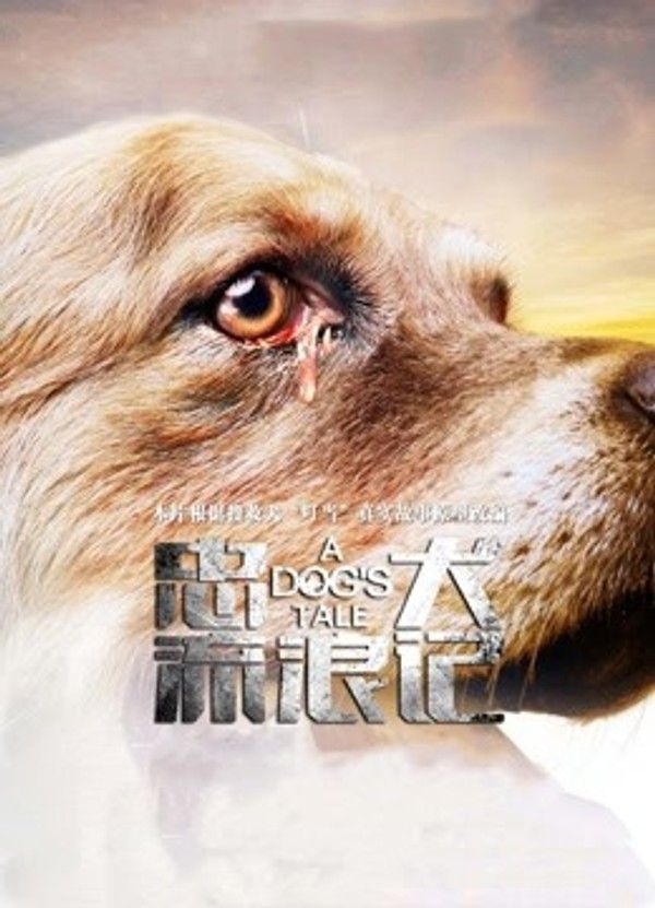 忠犬流浪记}