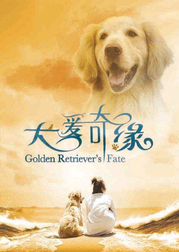 犬爱奇缘}