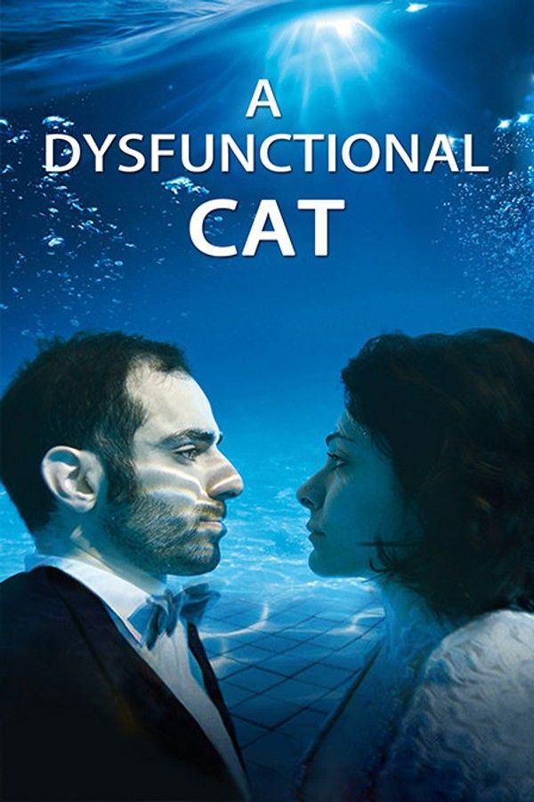 一只功能失调的猫}