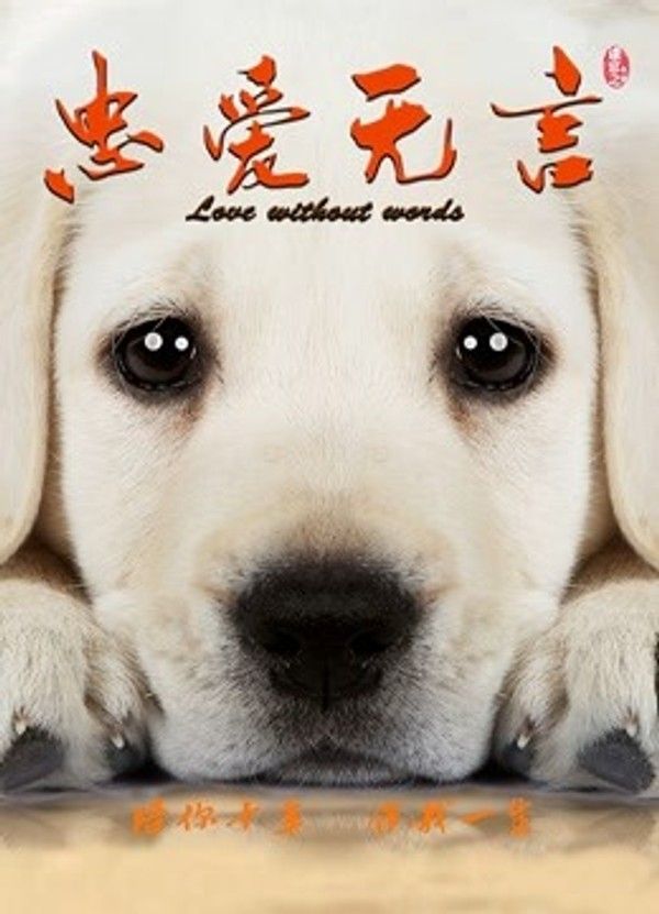 忠爱无言}