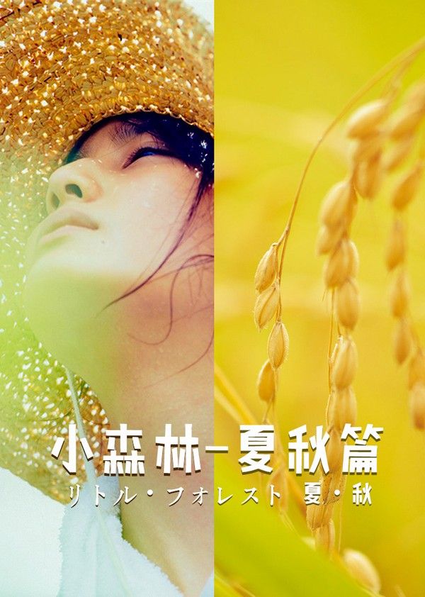 小森林夏秋篇}