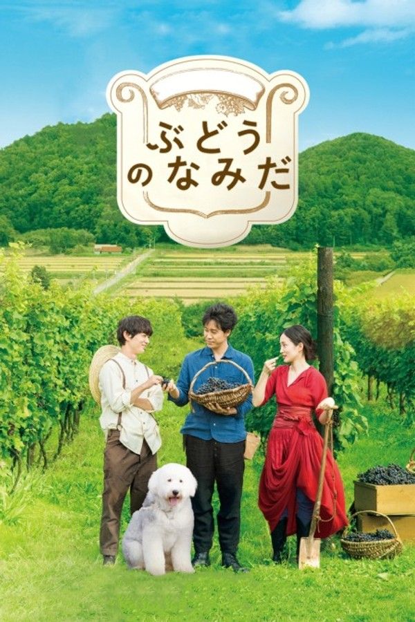 葡萄的眼泪}