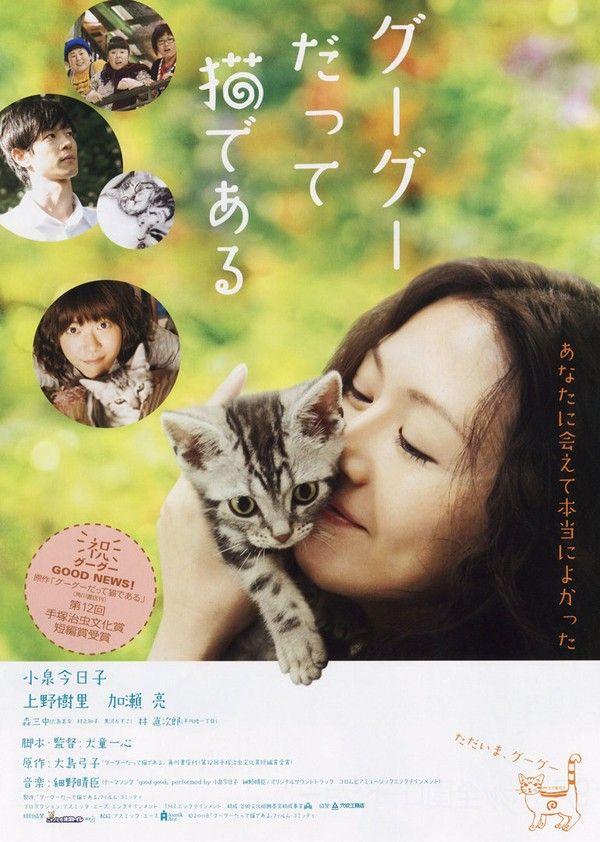 咕咕是一只猫}