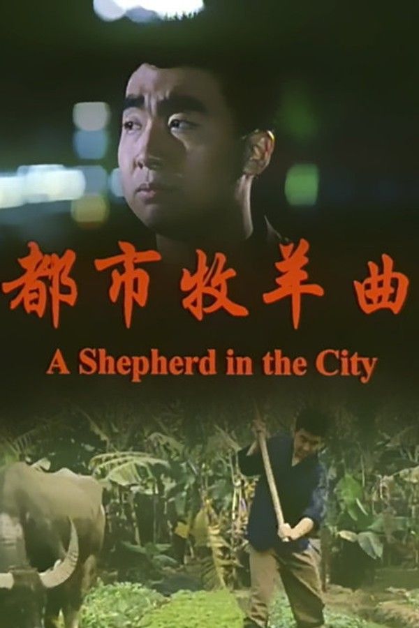 都市牧羊曲}
