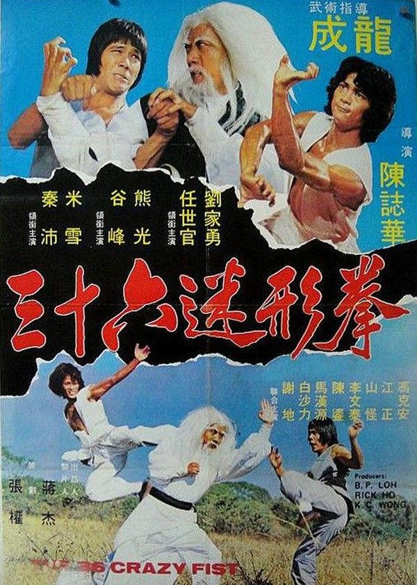 三十六迷影拳}
