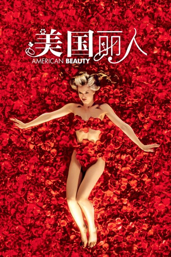 美国丽人}