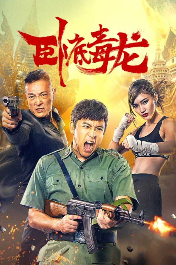 卧底毒龙}