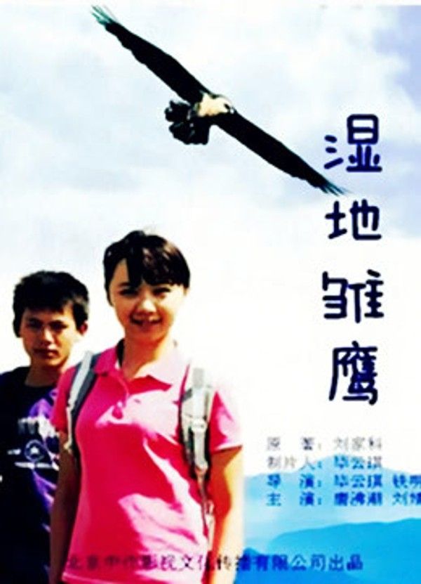 湿地雏鹰}
