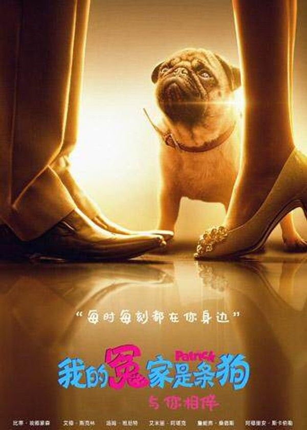 我的冤家是条狗（普通话）}