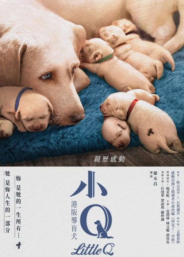 小Q粤语版}