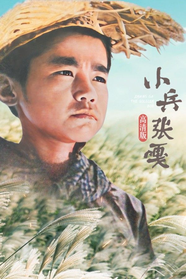 小兵张嘎高清版}