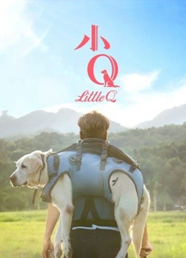 小Q（粤语）}