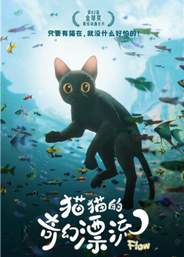 猫猫的奇幻漂流}