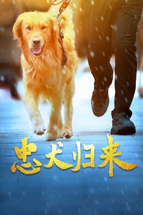 忠犬归来}