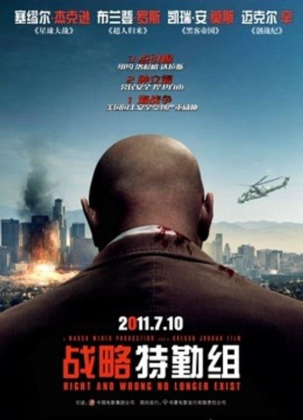 战略特勤组（2010）}