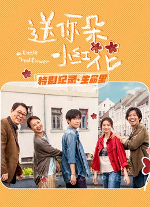 送你一朵小红花·特别纪录最终集}